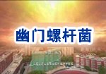 以世界杯平台世界杯(中国)一站式服务