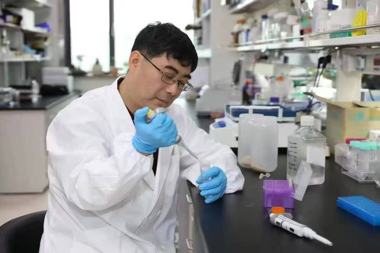 上海精准医学研究院为核心的雷鸣/张燕