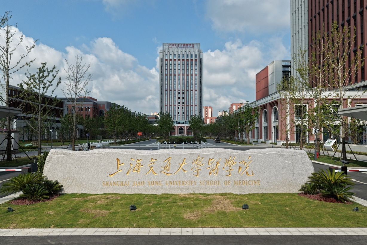 成立了新的由salontesio.c